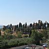 castelfiorentino15