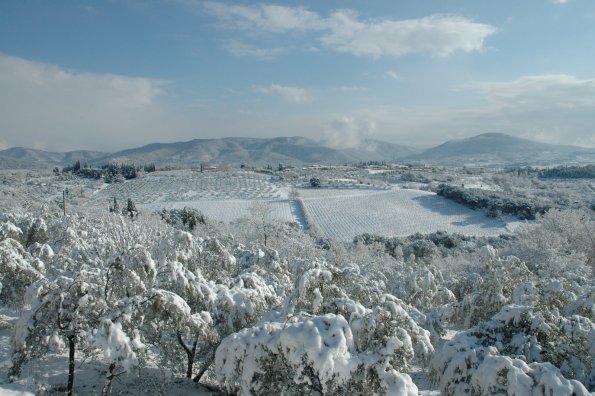 chianti_under_the_snow_04