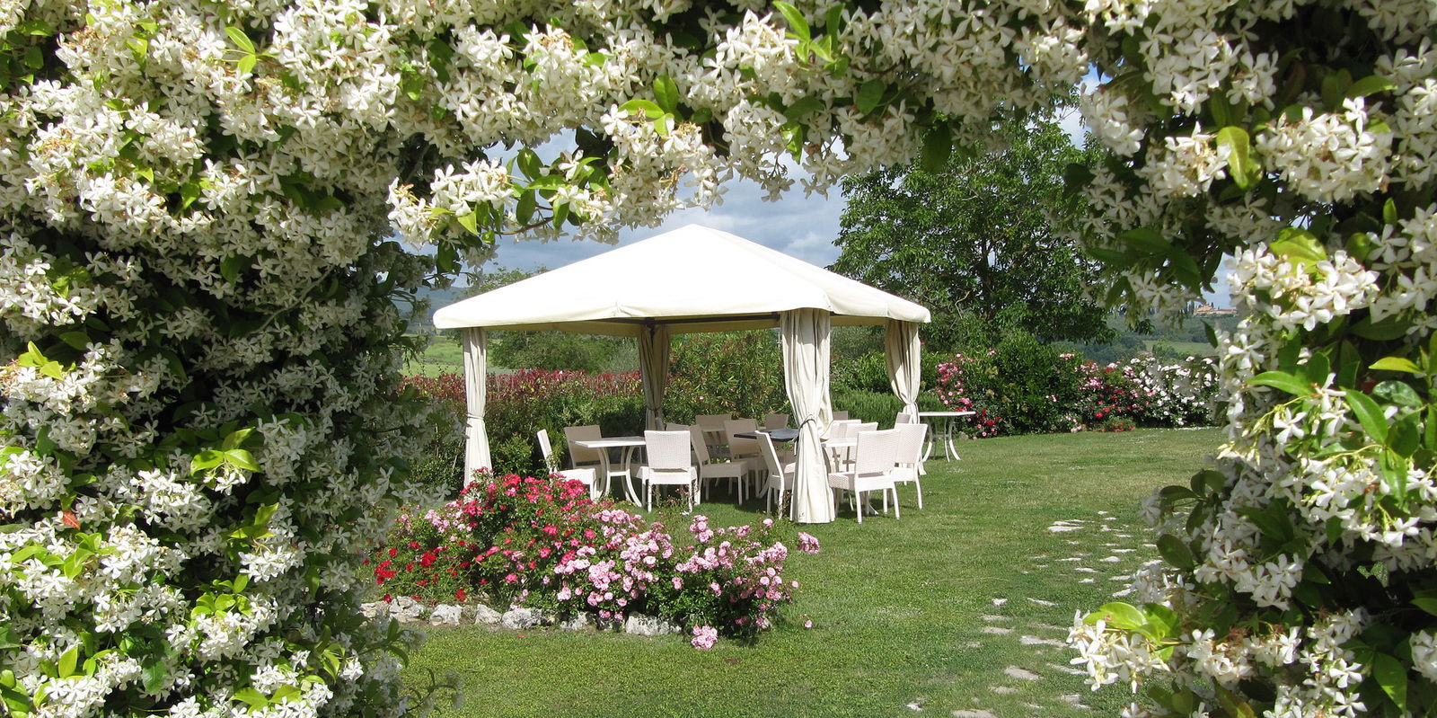 Stupendous garden views towards San Gimignano: Taverna Bibbiano