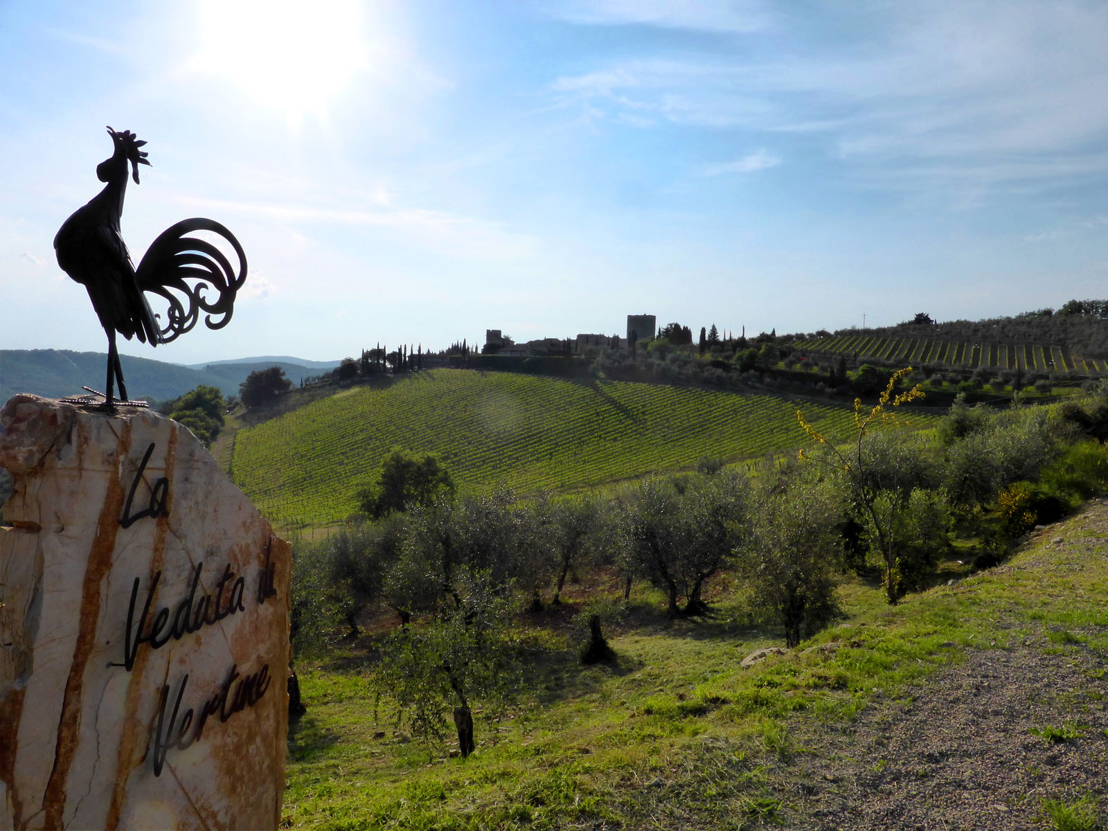 Wine tasting in Gaiole at the many castles