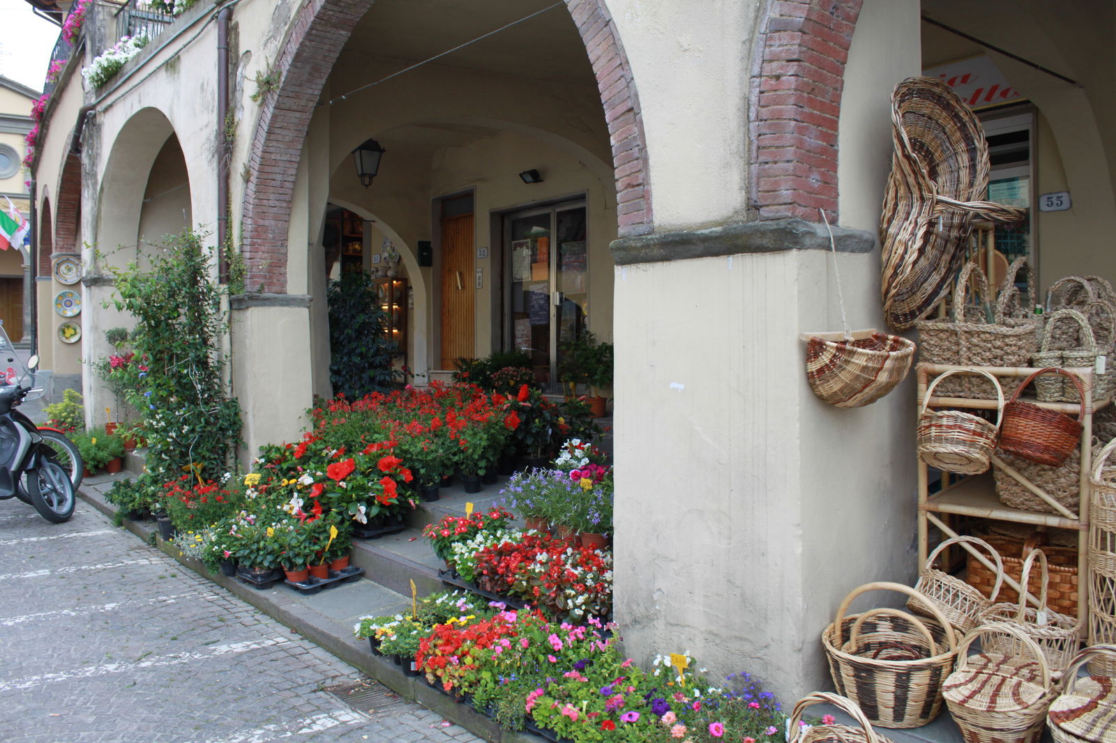Flowers in Greve in Chianti
