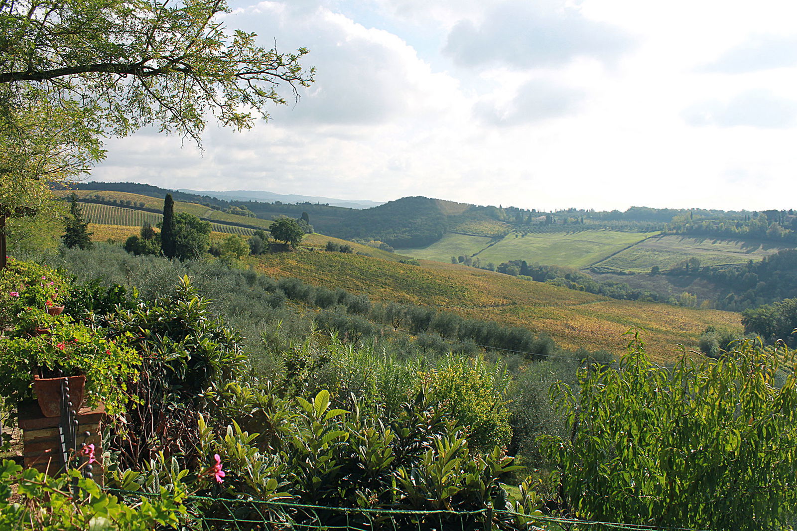 Panoramic views at  Agriturismo Vernianello 