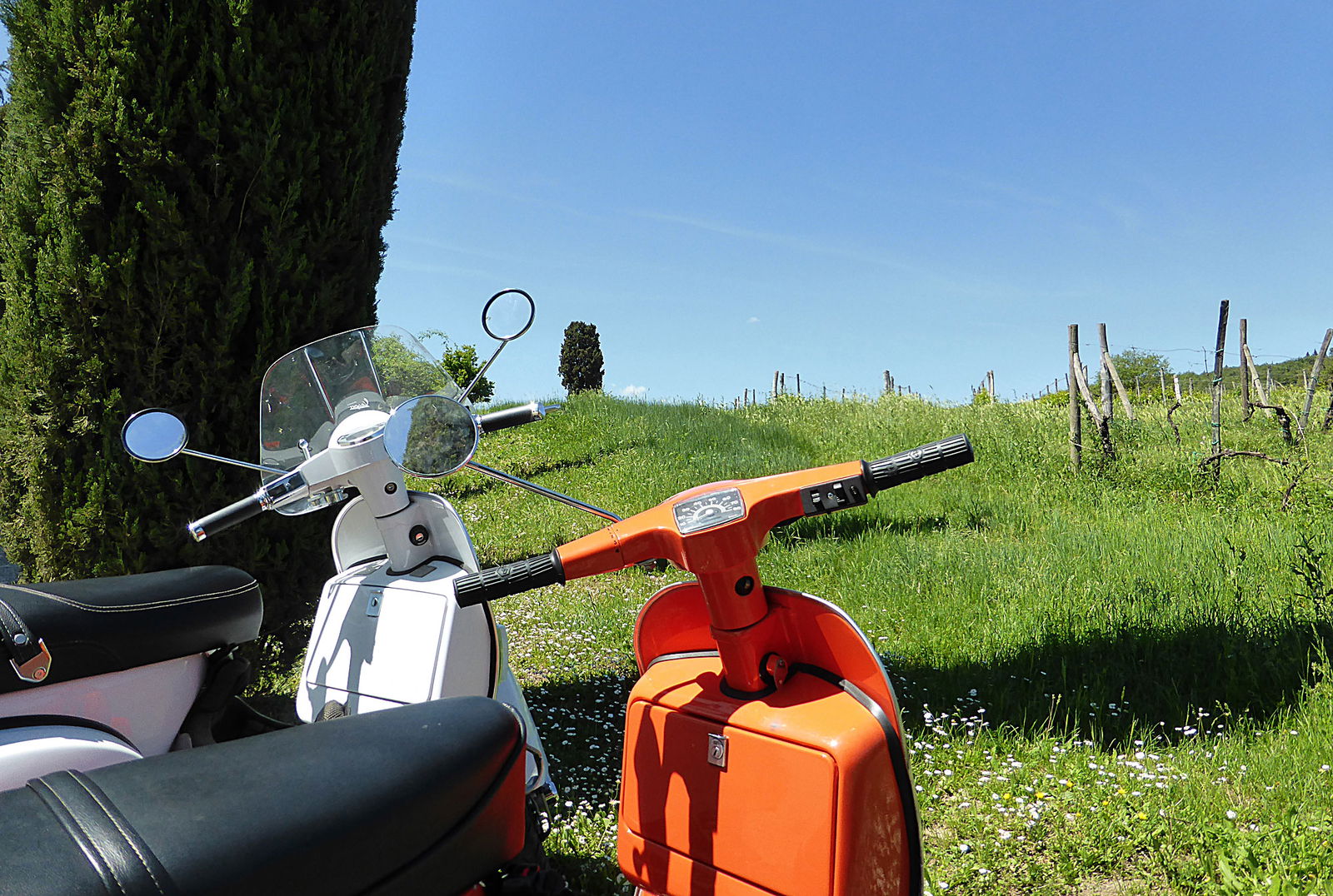 Landscape around Gaiole in Chianti