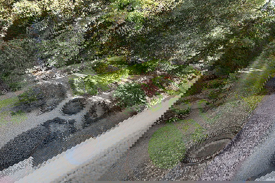 Stylized green garden surrounding holiday rental Villa Humborg in Tuscany